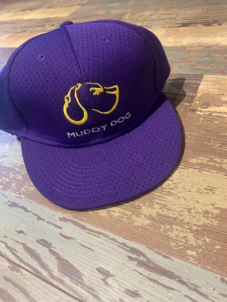 Purple/Gold Kids OG Logo Snapback